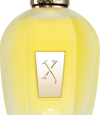 Xerjoff Naxos Eau De Parfum 100mL