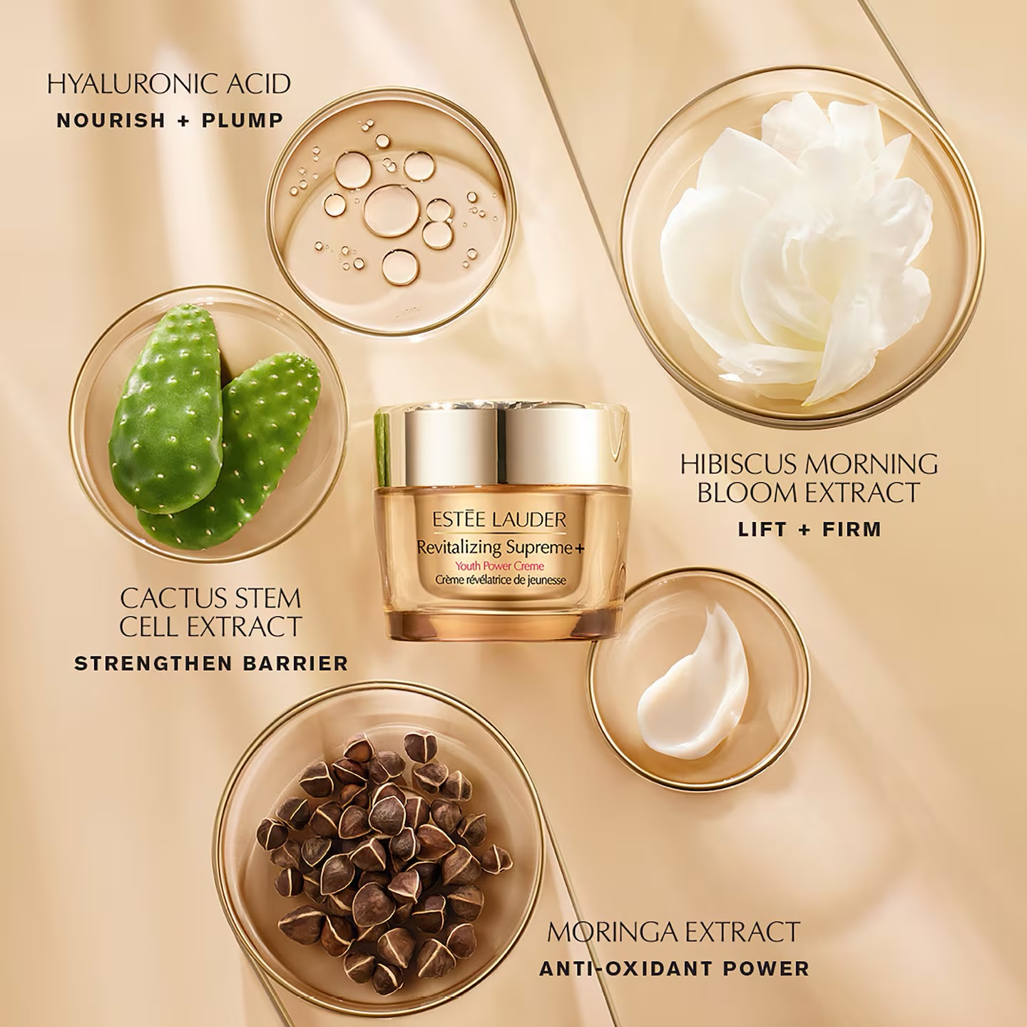 Estée Lauder - Revitalizing Supreme+ Crème Hydratante Révélatrice De Jeunesse 50ML – Image 3